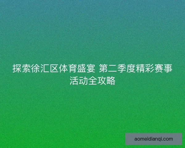 探索徐汇区体育盛宴 第二季度精彩赛事活动全攻略