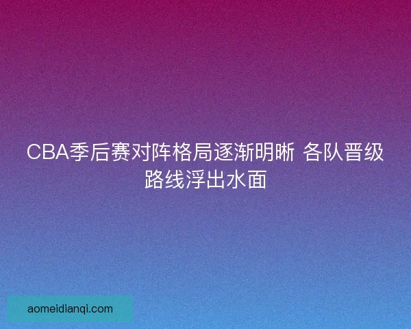 CBA季后赛对阵格局逐渐明晰 各队晋级路线浮出水面
