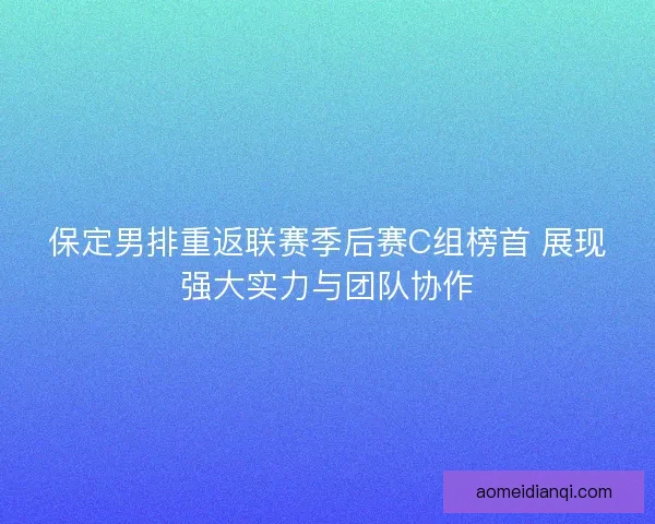 保定男排重返联赛季后赛C组榜首 展现强大实力与团队协作