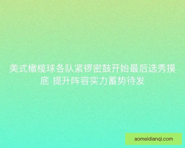 美式橄榄球各队紧锣密鼓开始最后选秀摸底 提升阵容实力蓄势待发